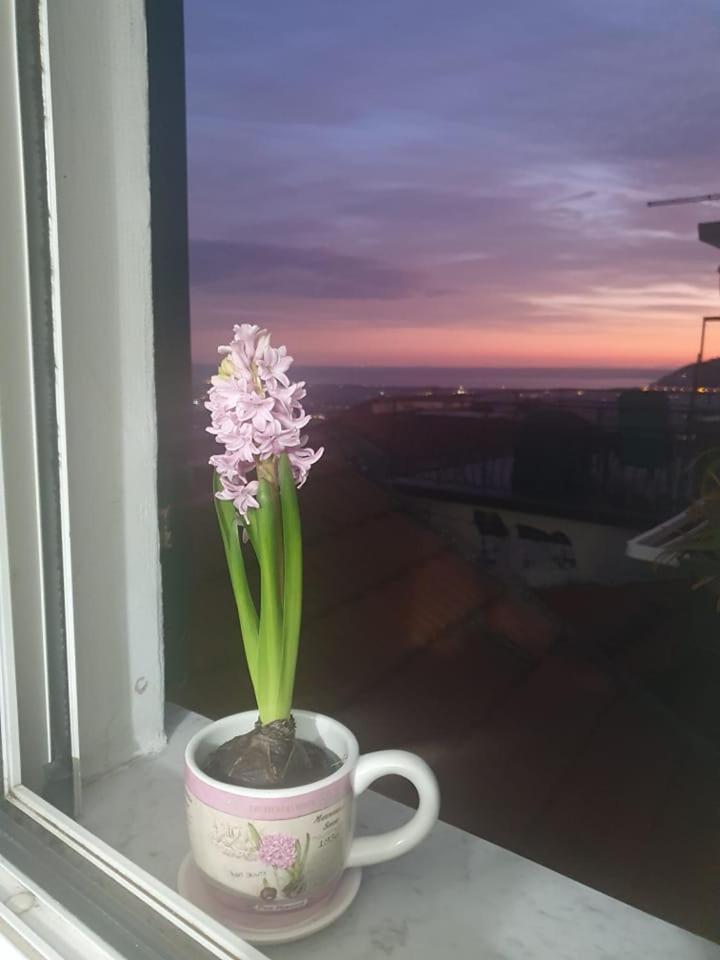 Appartamento Bellavista Кастелнуово Магра Екстериор снимка